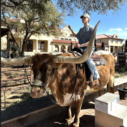 Grayson - Innovation Director